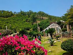 -深圳仙湖植物园