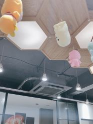 -心联形象设计·流星染