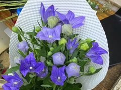 -亭亭鲜花店(中山北路店)