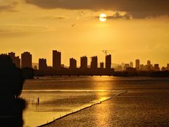 -西山漾湿地公园