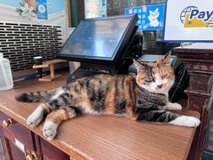 -宝莱纳餐厅(滨江店)