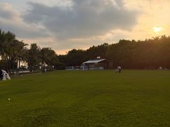-深圳湾公园(南山区)