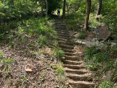 -青龙山国家森林公园