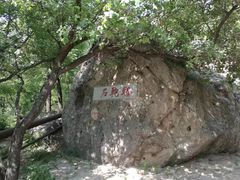 -阳台山自然风景区