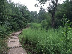 -蟠龙山长城景区