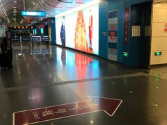 -大望路(地铁站)