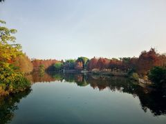 -厦门园林博览苑