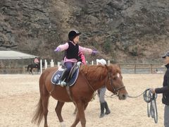 -枫露马术学院(藏书校区)