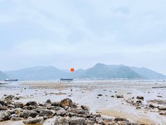 -北岐滩涂