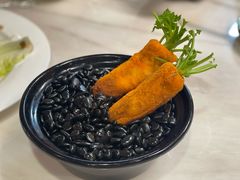 -丁老爷子苏香圆