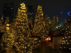 -城市露台景观餐厅(淮海路店)