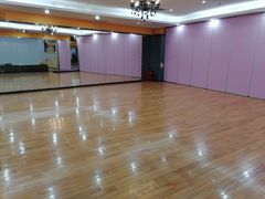 -港龙舞蹈·成人少儿舞蹈培训(深圳湾校区)