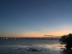 -宝安西湾红树林湿地公园