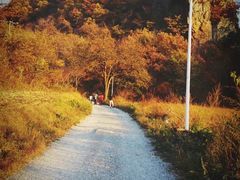 -大连天门山国家森林公园