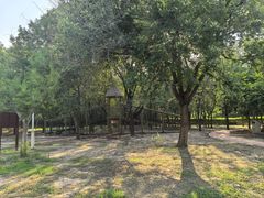 -塘沽森林公园