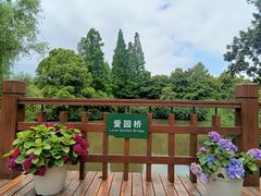 -上海滨江森林公园