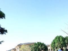 -风云岭森林公园
