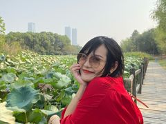 -艾溪湖湿地公园