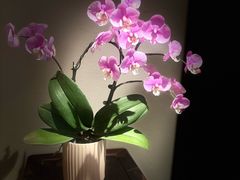 -花锦堂·隐庐