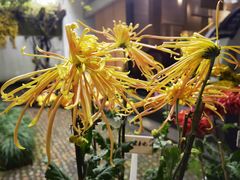-杭州植物园