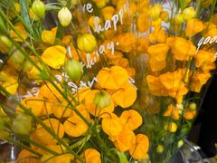 -双季花艺园艺市场(浦东店)