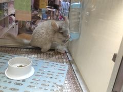 -鹏欣水游城