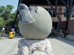 -广东惠东海龟国家级自然保护区