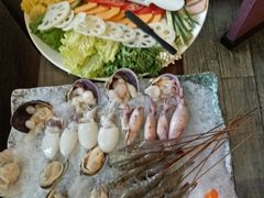-海桐