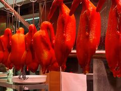 -潮汕三宝鲜牛肉火锅