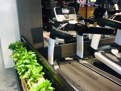 -帝豪斯健身俱乐部(市府恒隆广场店)