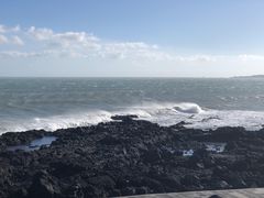 -涉地可支