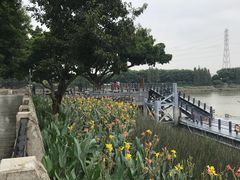 -黄埔古港