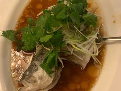 清蒸鱼-强记海鲜菜馆