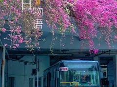 -深圳仙湖植物园