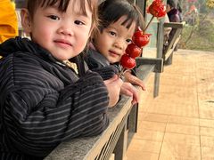 -枫香湖儿童公园