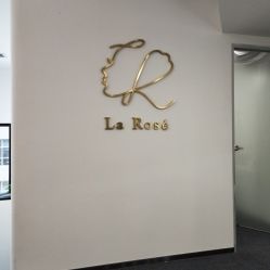 -La Rose·轻奢皮肤管理