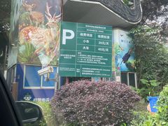 -深圳野生动物园