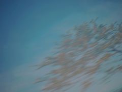 -田园东方蜜桃村的田野营地