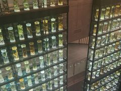 -广东中医药博物馆
