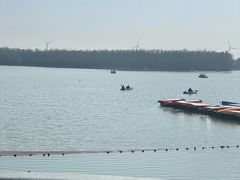 -上海海湾国家森林公园