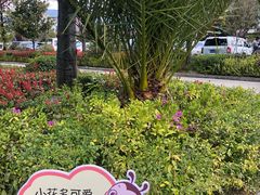 -丽江三义国际机场