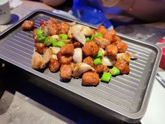 -老板恋上鱼(恒隆广场店)