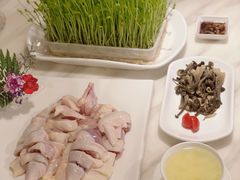 -美姿水荟美食水疗