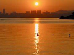 -深圳湾公园(南山区)