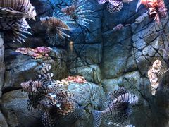 -成都浩海立方海洋公园