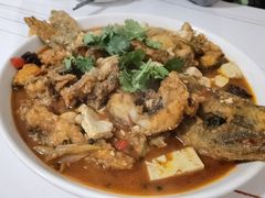 -煲来饱去冷水鱼