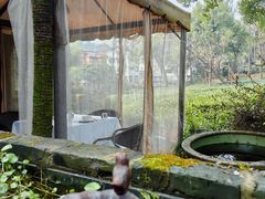 -野蔓果·山野菜(西湖景区·龙井茶田店)