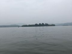 -西湖外事游船(花港观鱼码头)