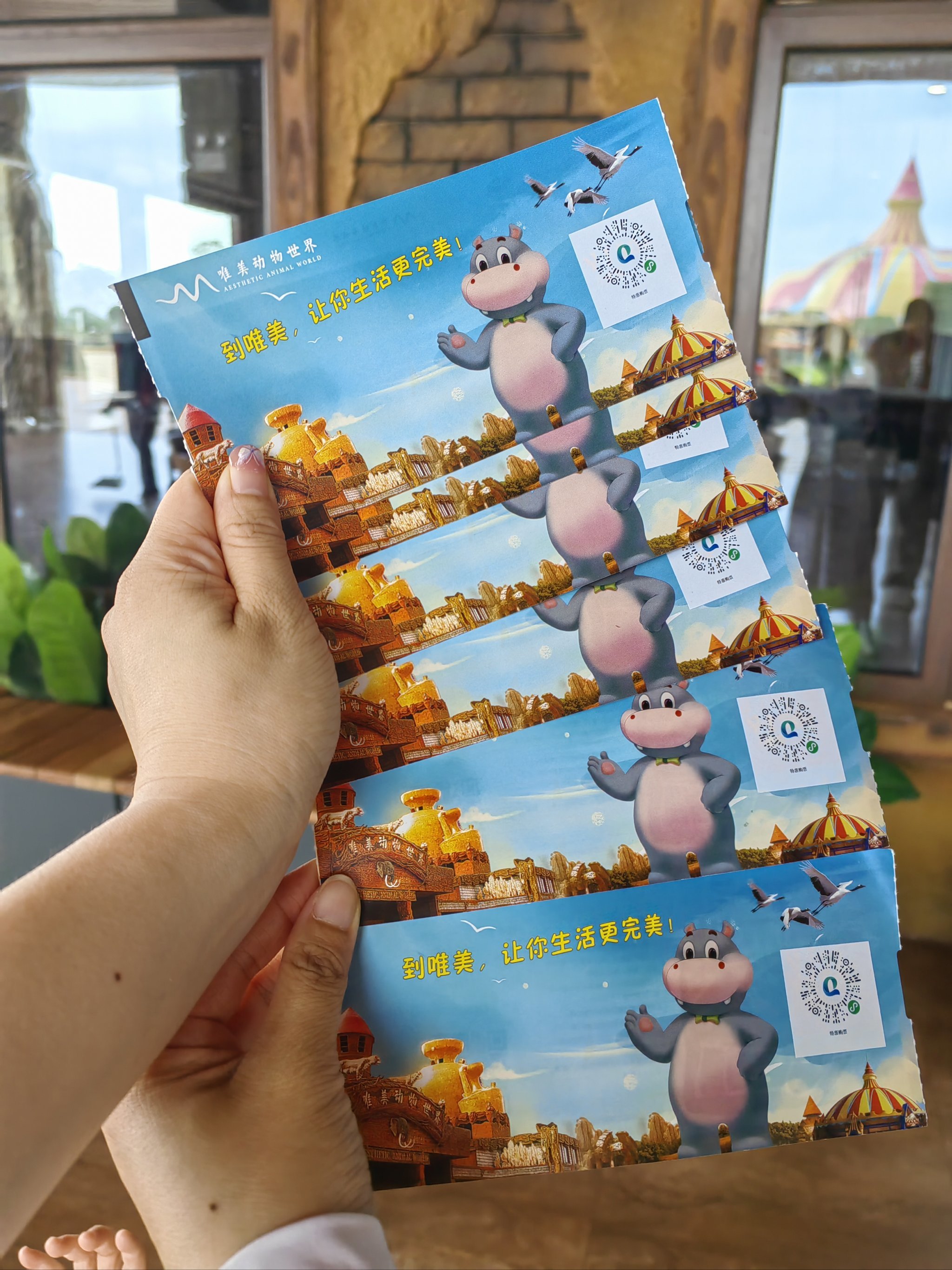 必去❗️丰城唯美动物世界,超棒体验等你来