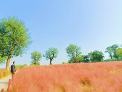 -汉长安城未央宫国家考古遗址公园